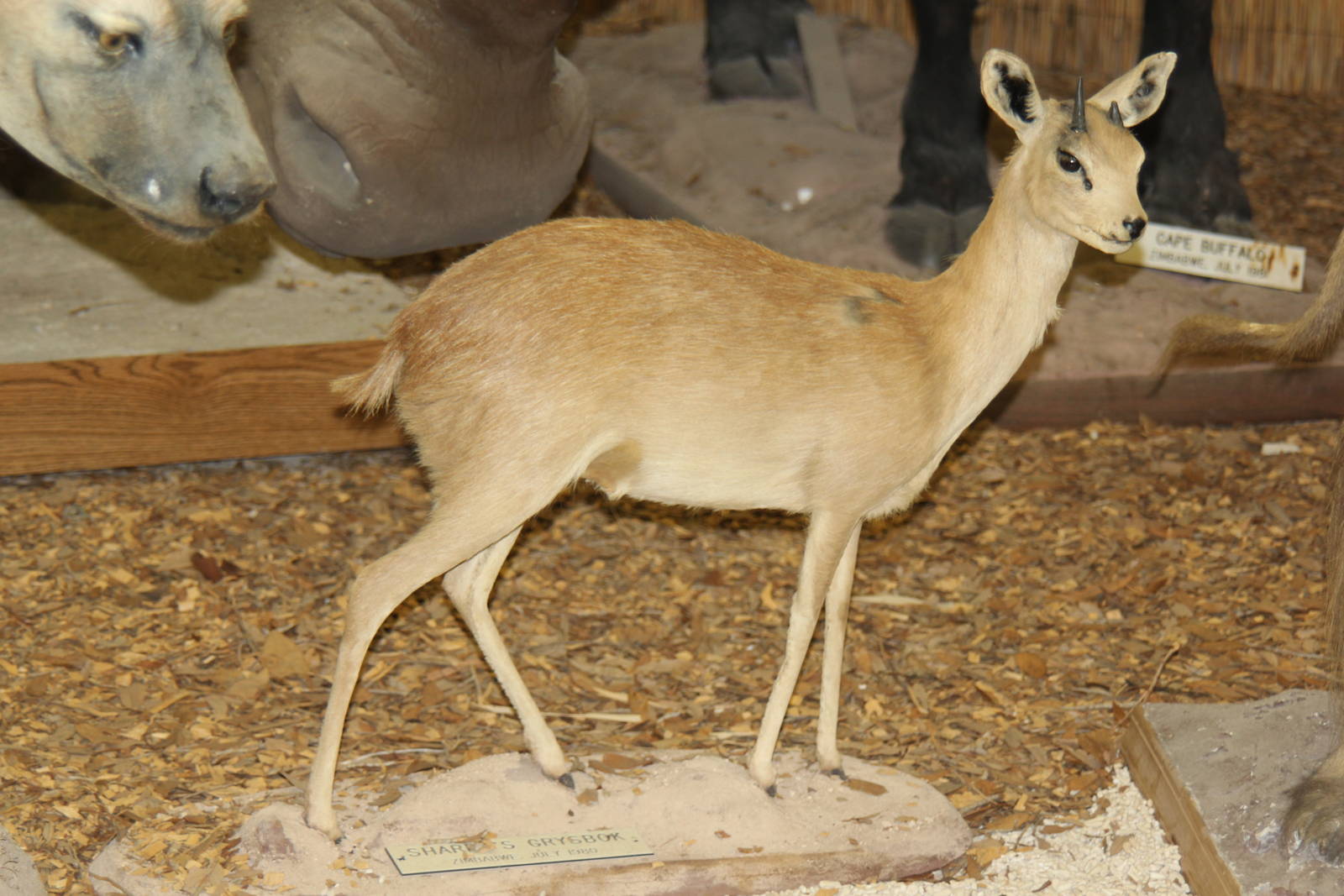 2014 Shell Factory and Nature Park