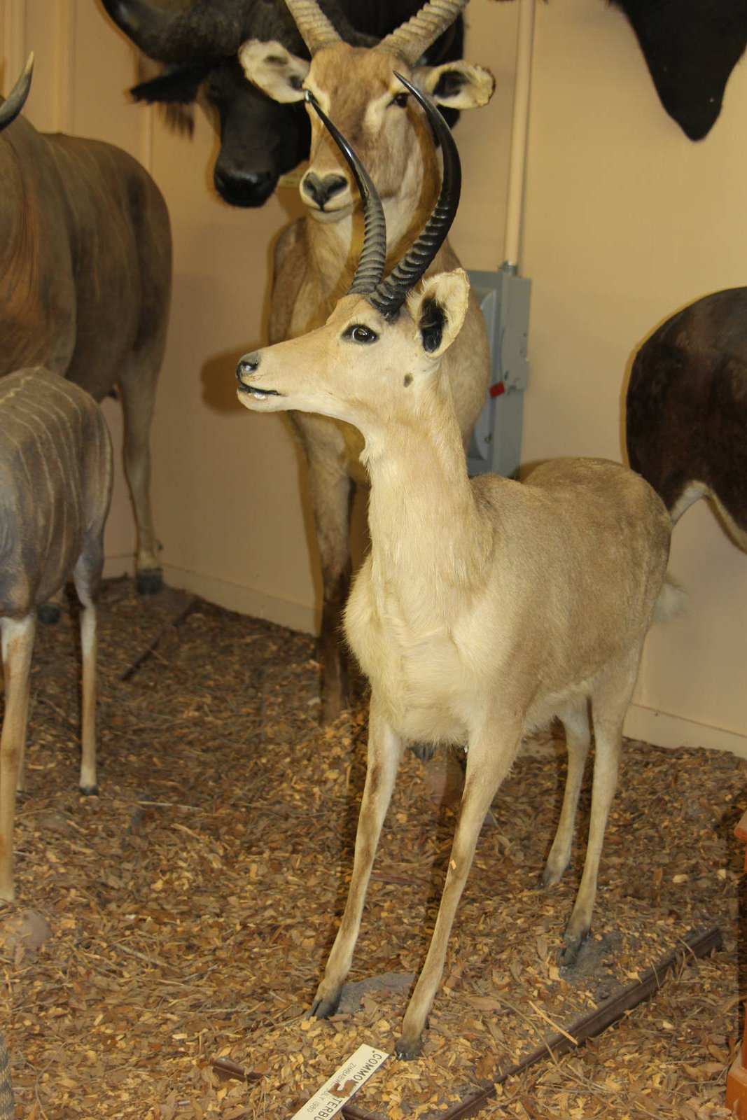 2014 Shell Factory and Nature Park