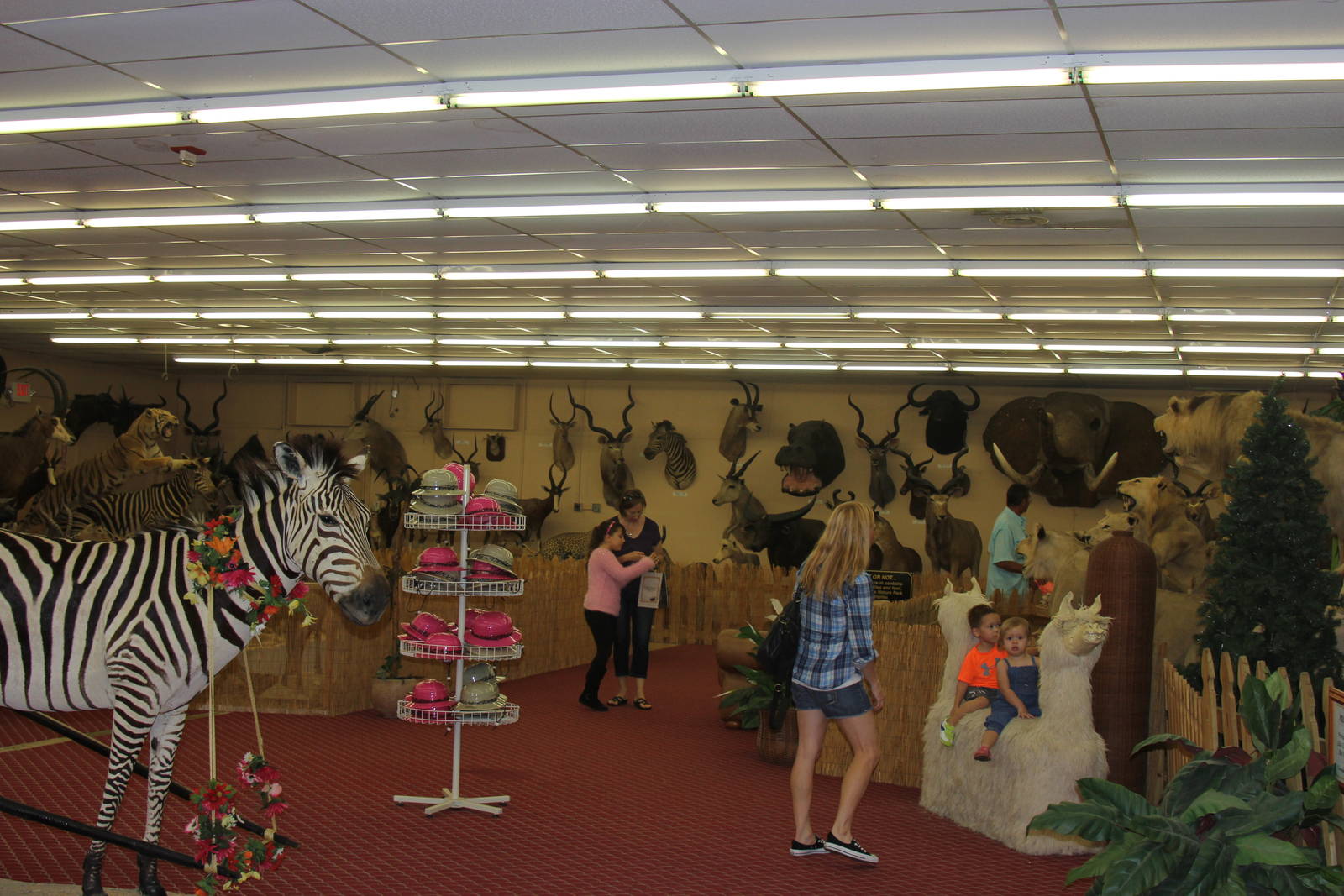 2014 Shell Factory and Nature Park