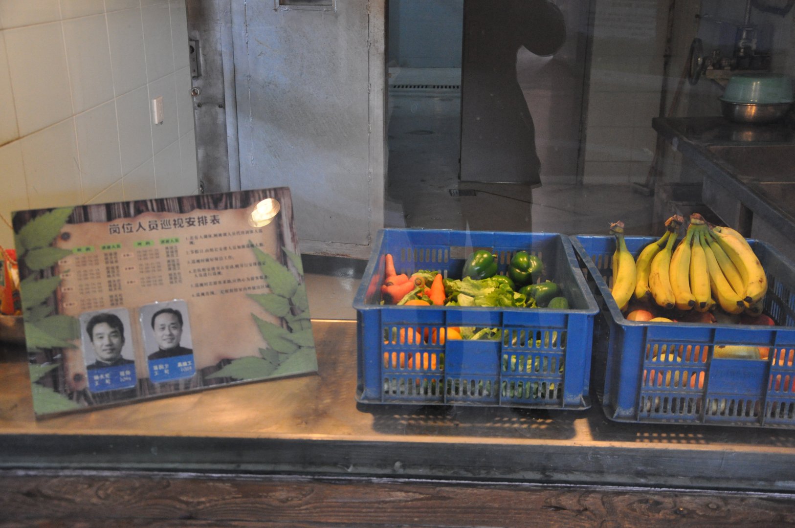 2016-02-02 Food for gorilla