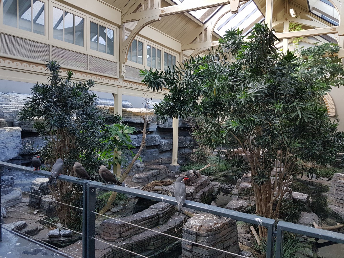 20161022_142503 Birdhouse  -Coast