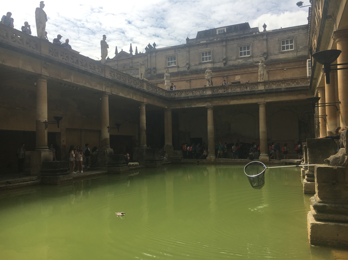 2017 - Attempts to remove European Herring Gull (Larus argentatus) from Roman baths