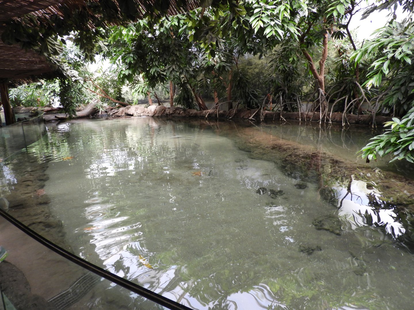 [2017] Enclosure in Oceanium