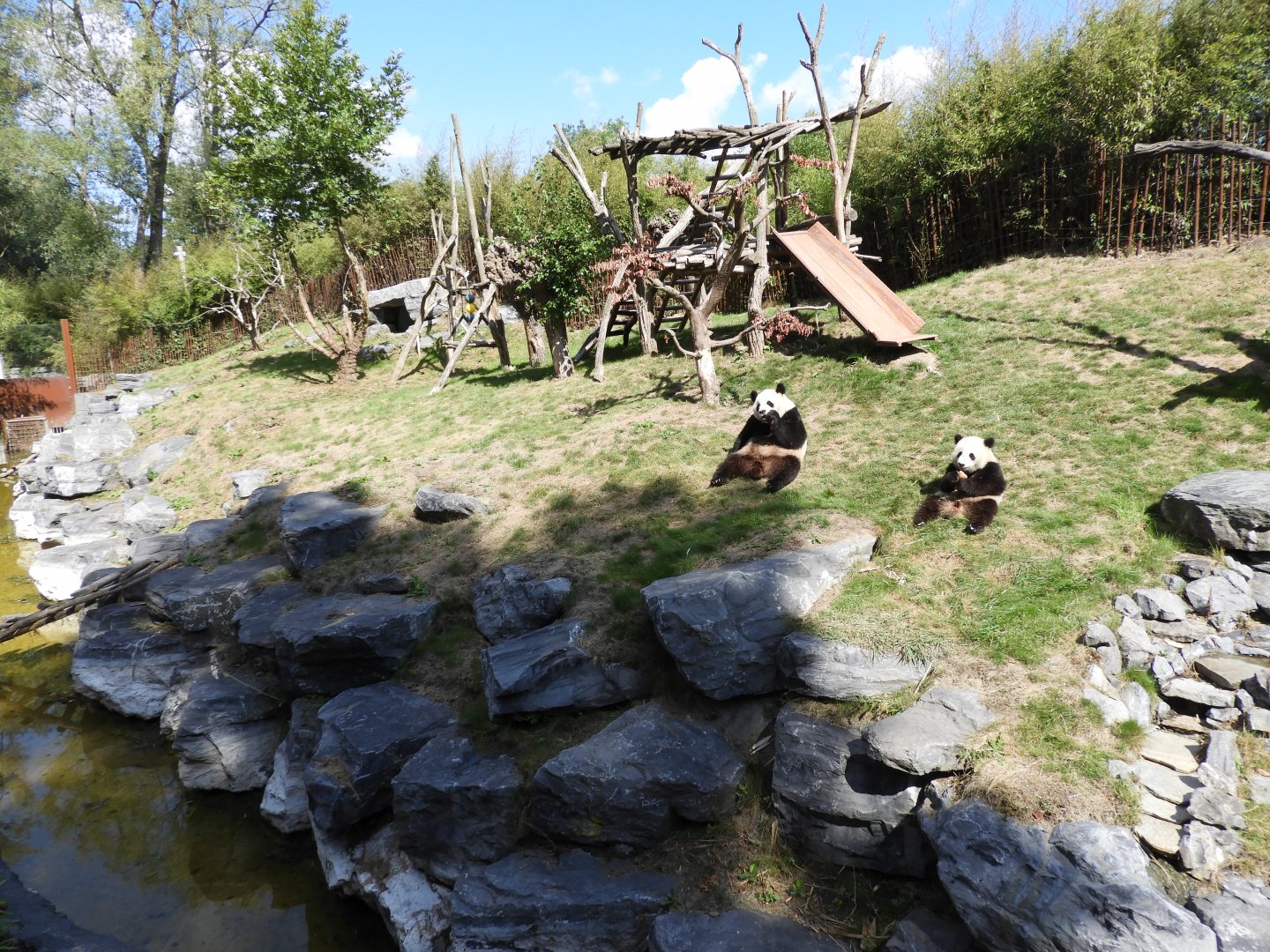 [2017] Giant panda enclosure