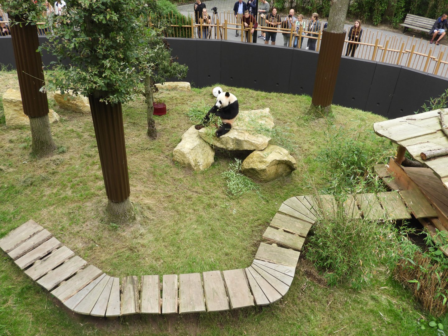 [2017] Giant panda enclosure