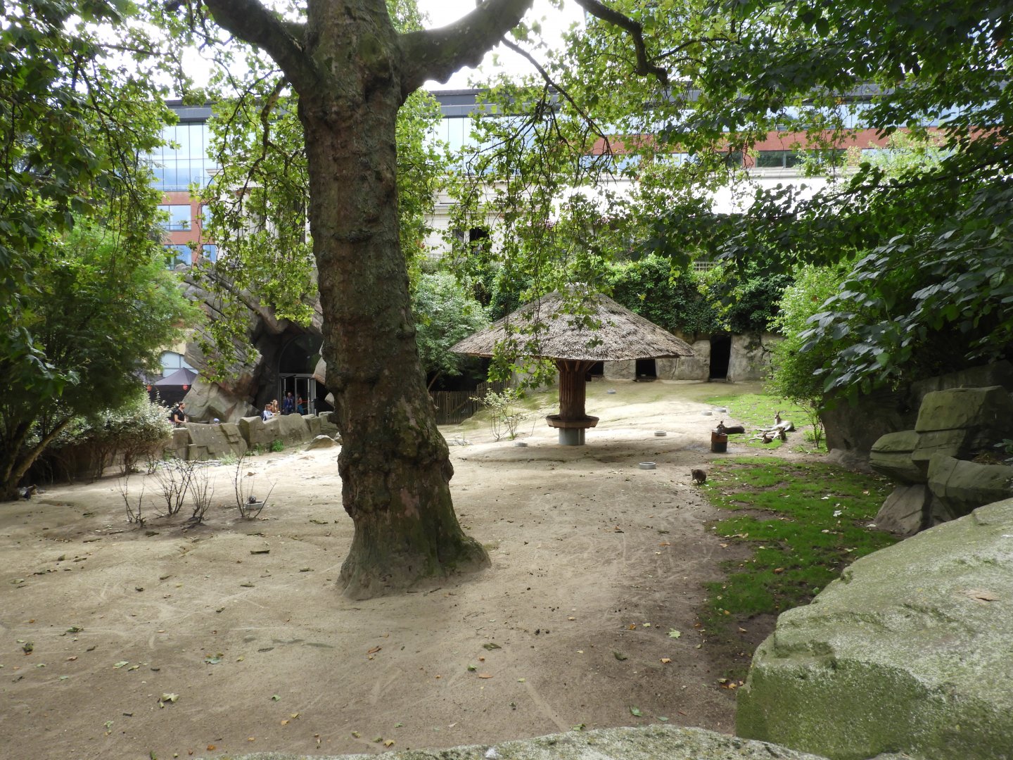 [2017] Kangaroo enclosure