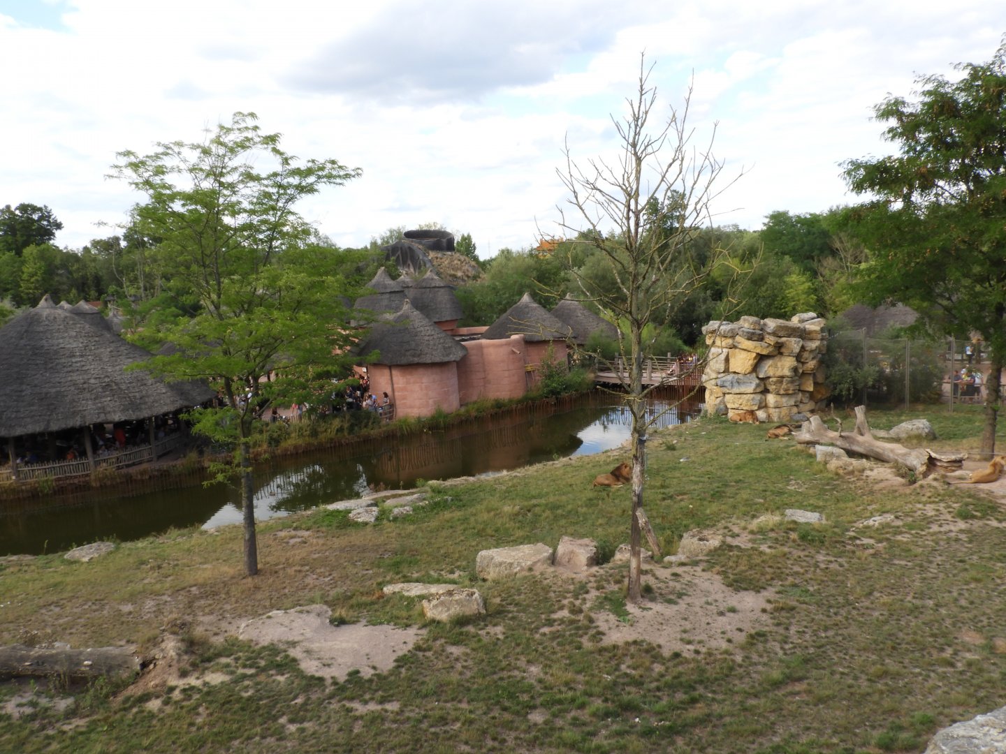 [2017] Lion enclosure