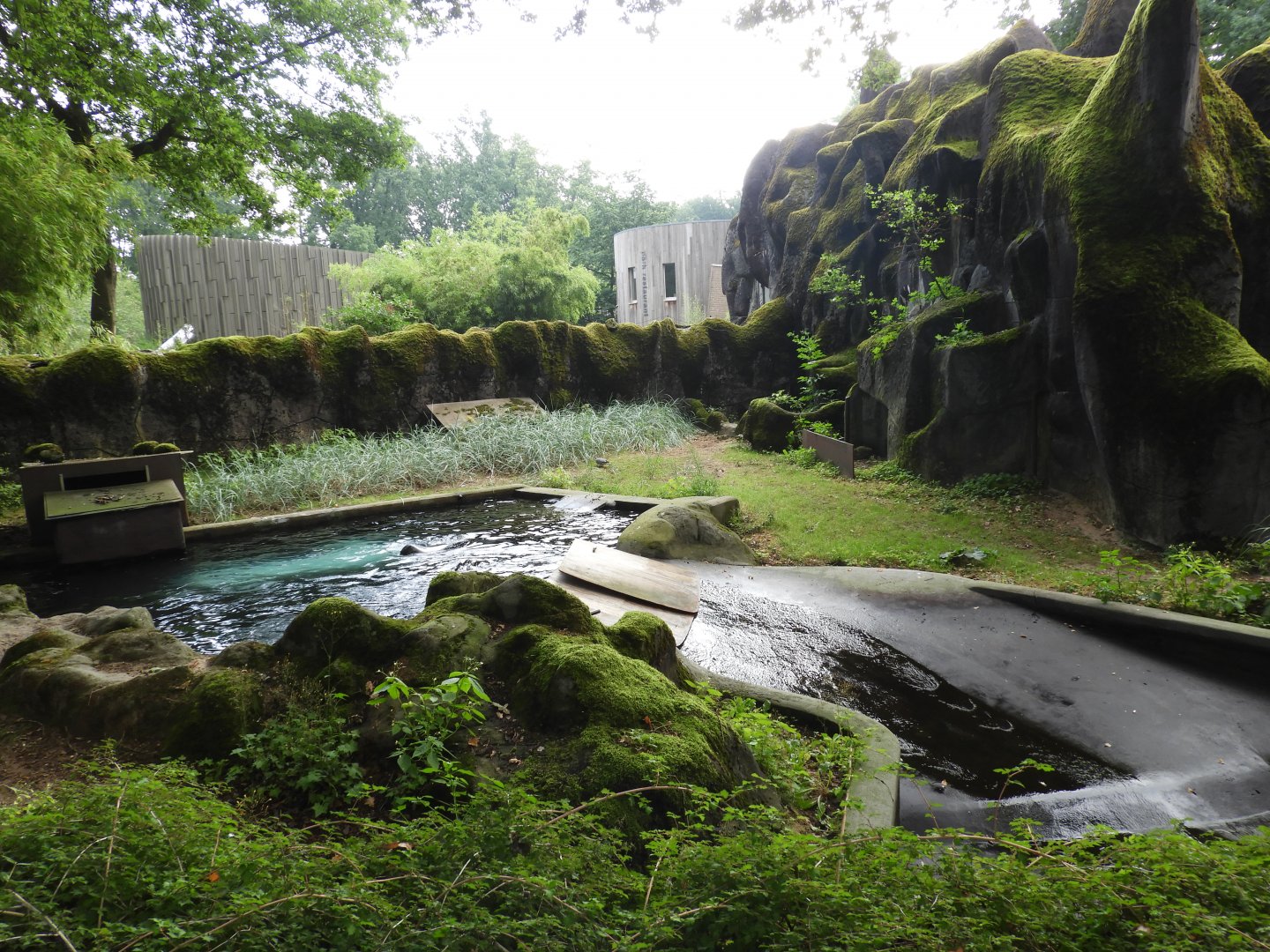 [2017] Ringed seal enclosure