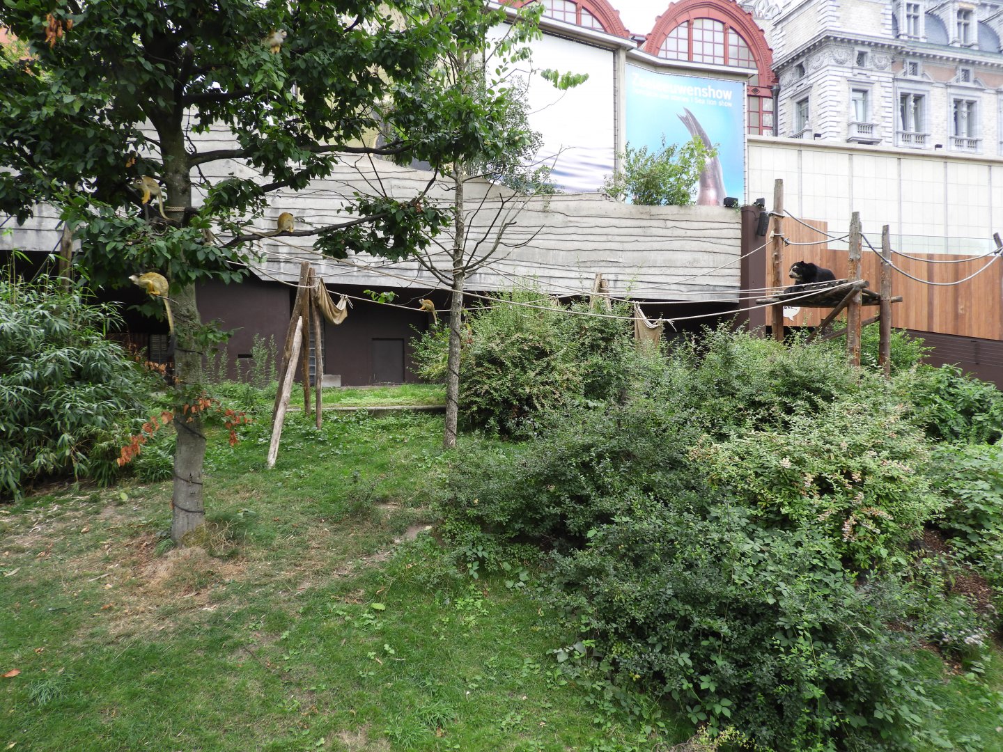 [2017] Squirrel monkey and bear enclosure