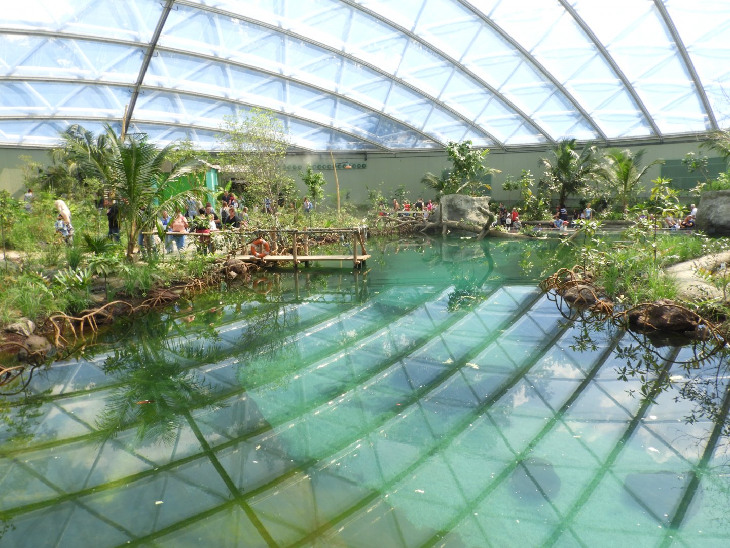 [2017] View in Burger's mangrove