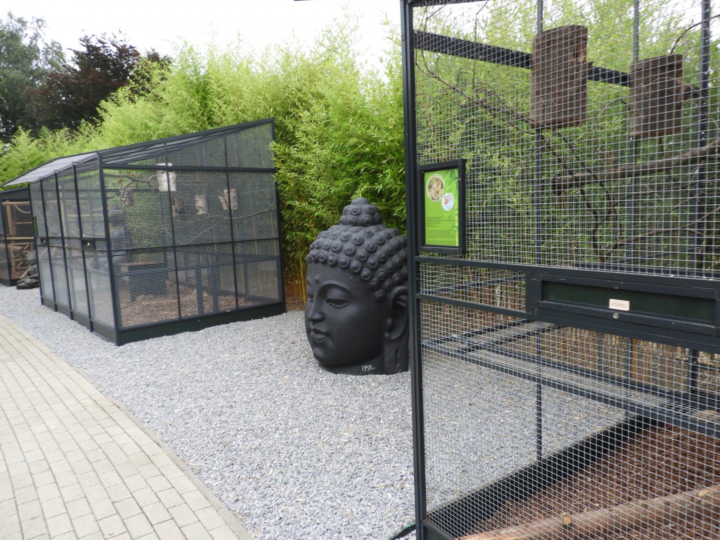 [2017] View of squirrel enclosures