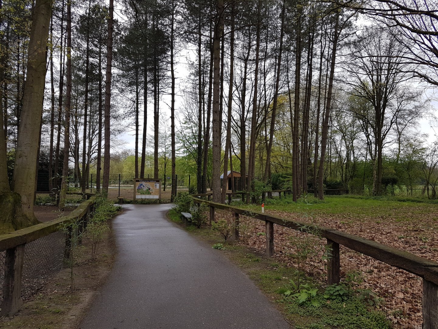 20170416_121312 View into the Park
