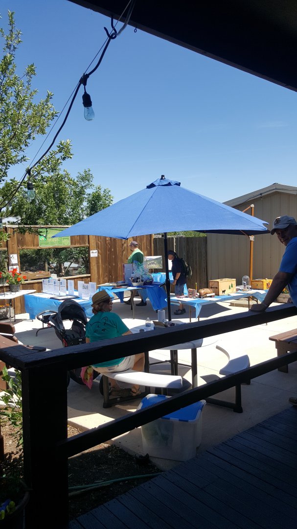 20170701_115119_(1)[1]