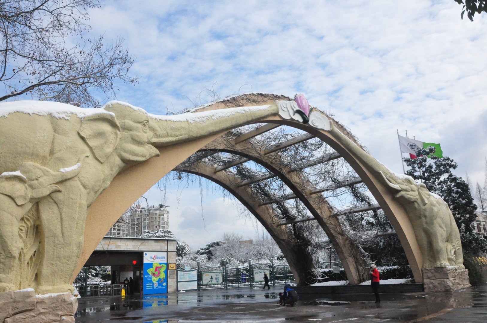 2018-01-26 Arch of Shanghai Zoo in snow