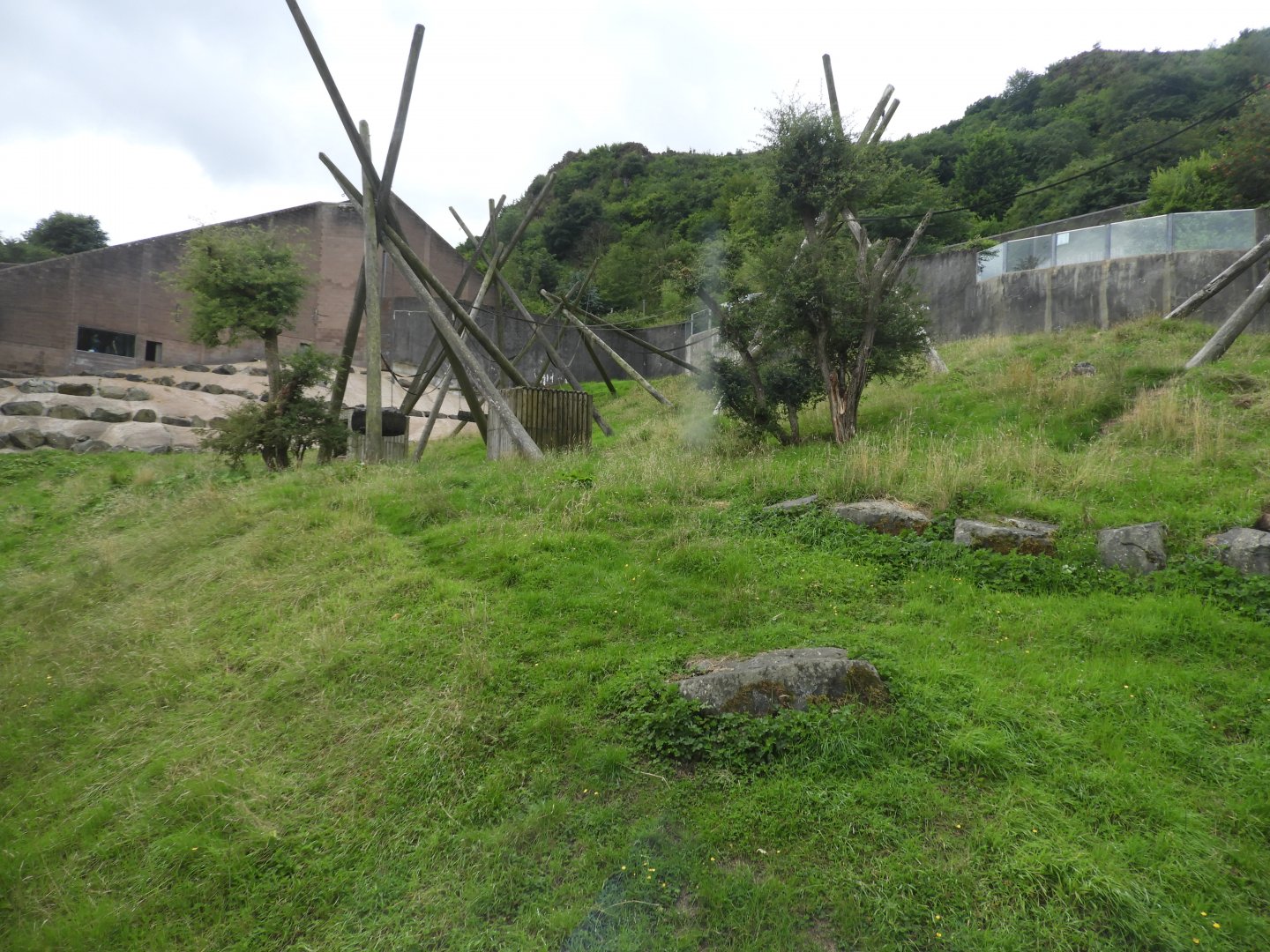 [2018] Chimpanzee enclosure