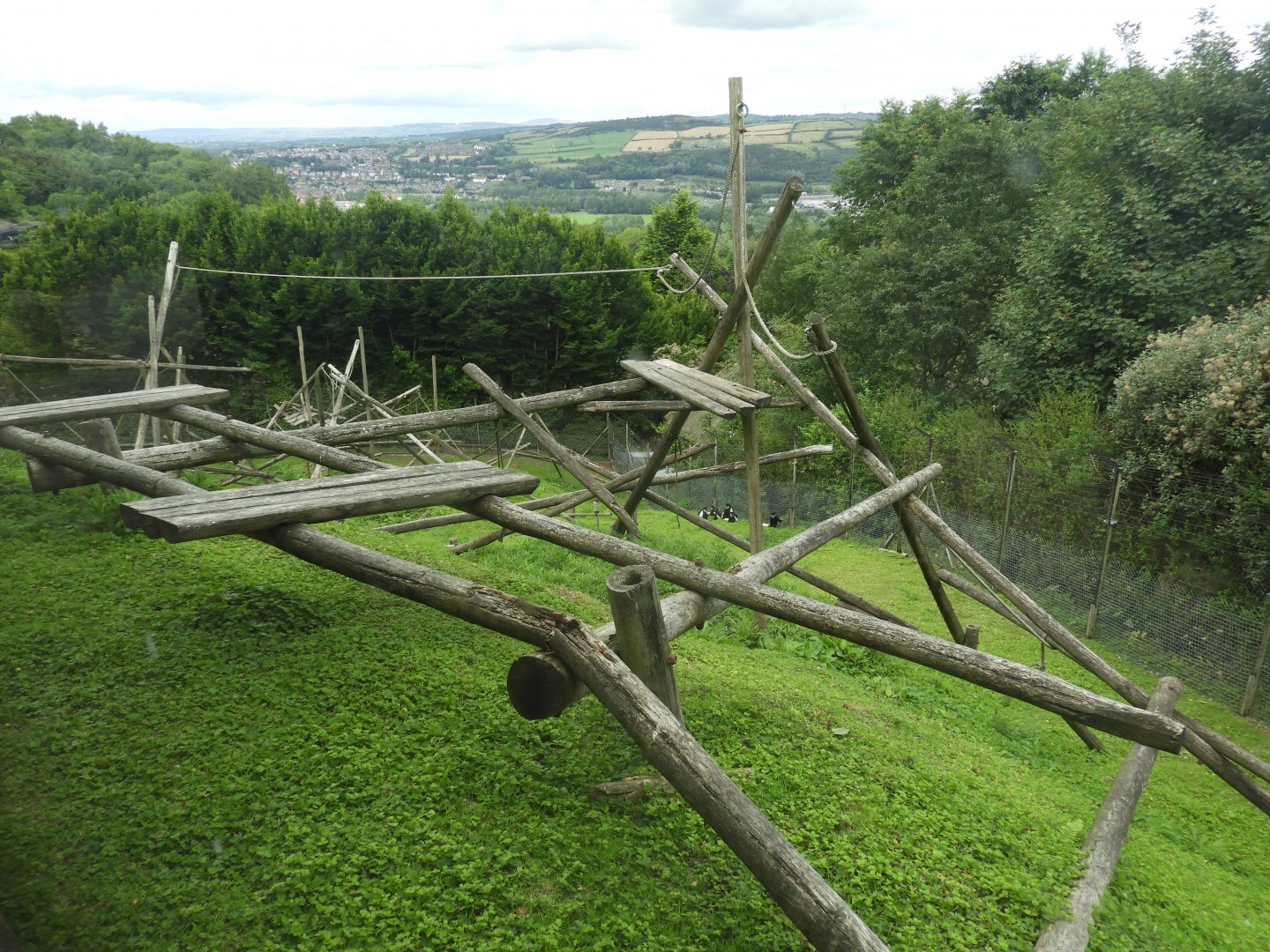 [2018] Colobus enclosure