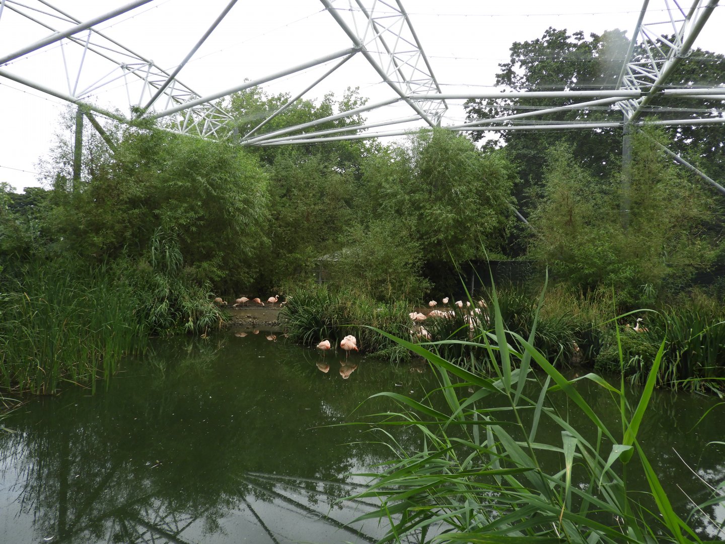 [2018] Inside walk-through aviary