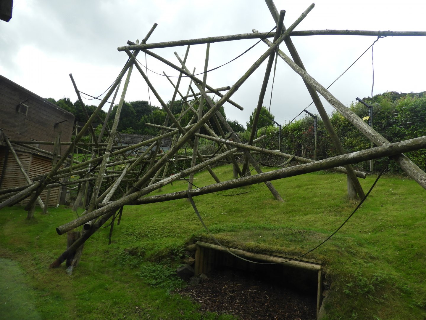 [2018] Red howler monkey enclosure