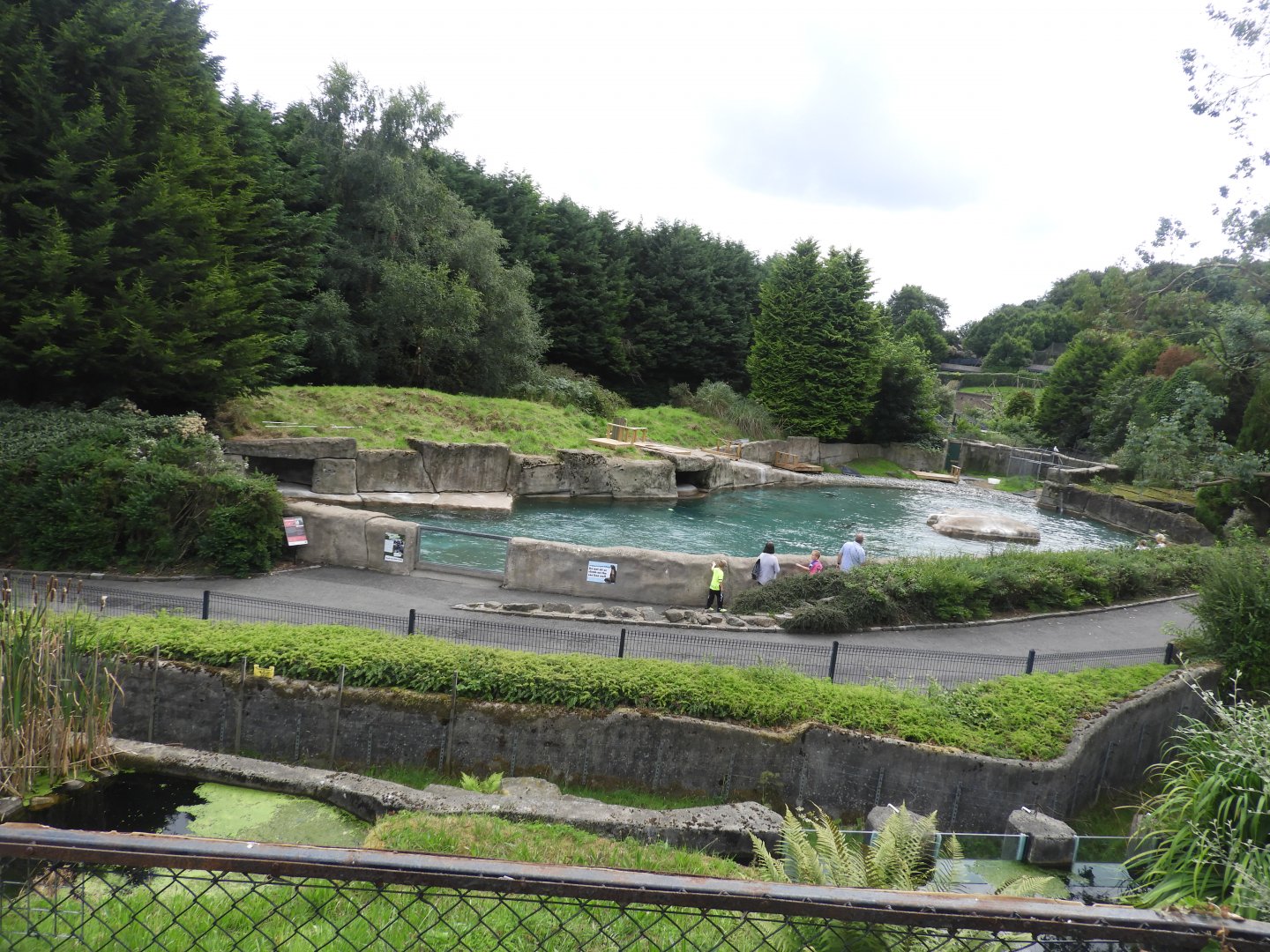 [2018] View of sea lion enclosure