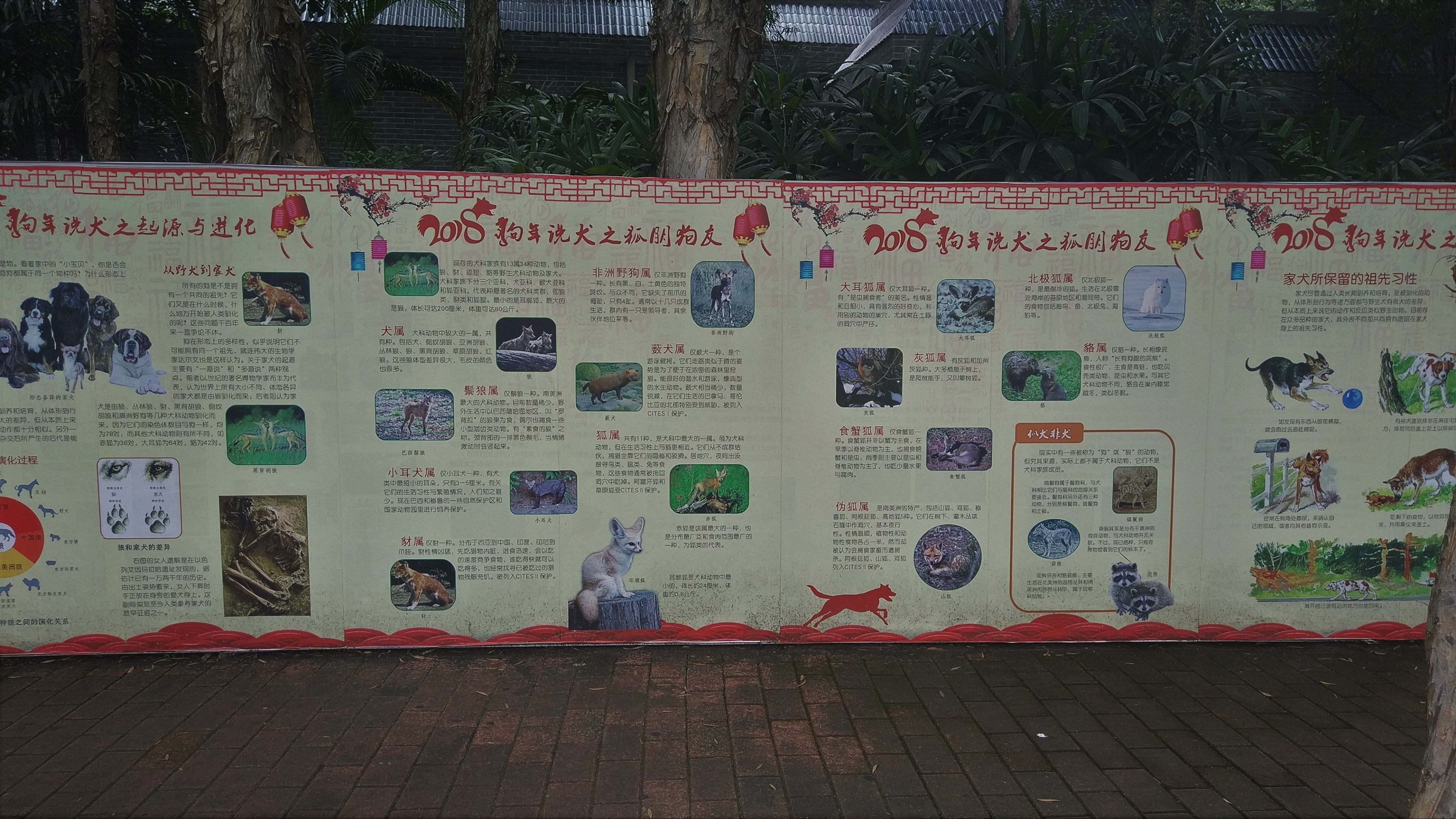 2018: Year of the Dog, Signage