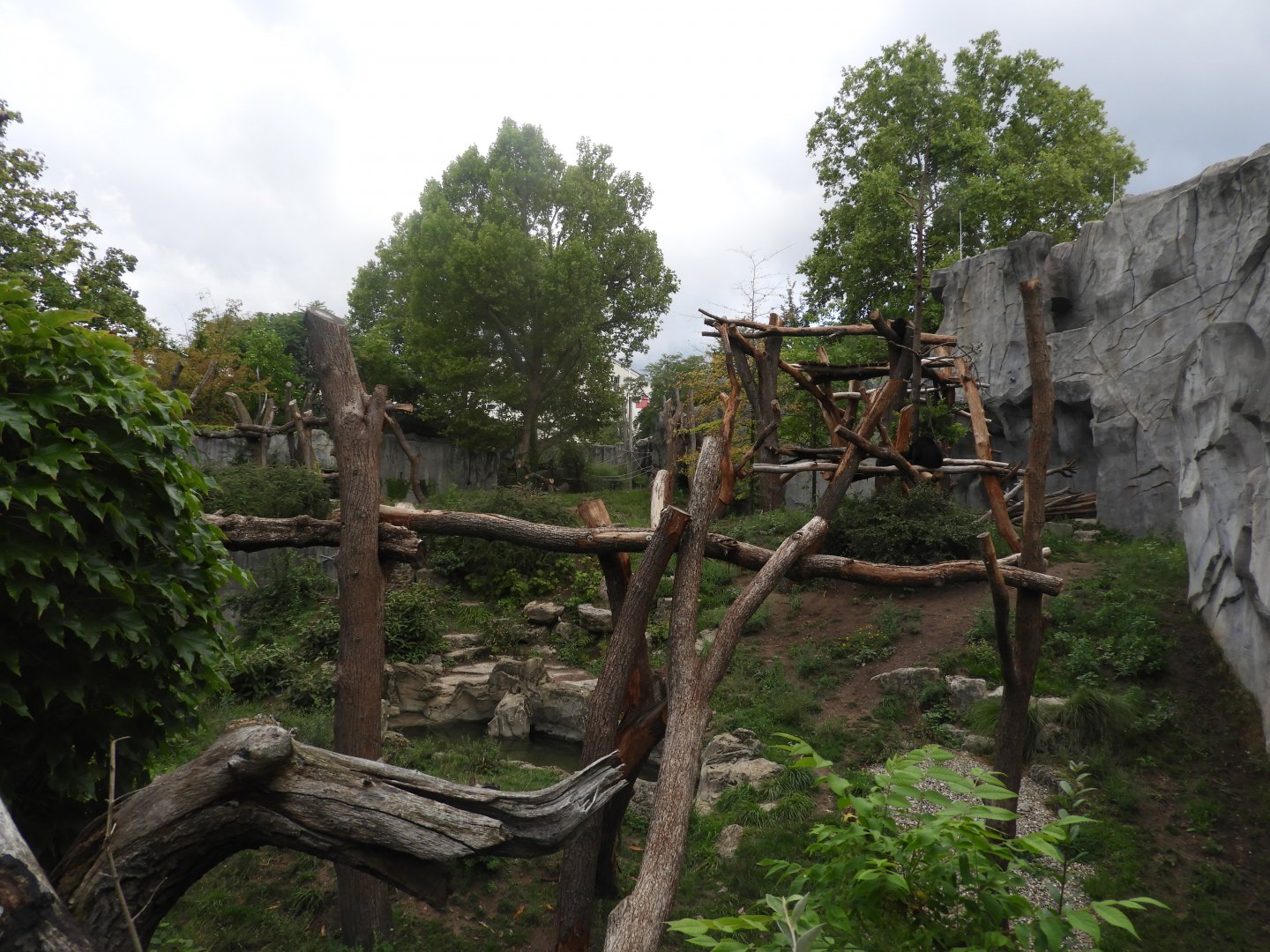 [2019] Andean bear enclosure