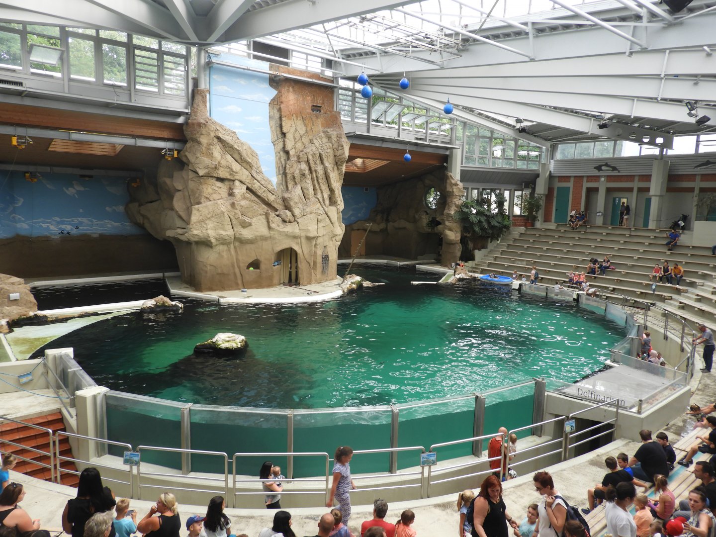 [2019] Dolphin enclosure
