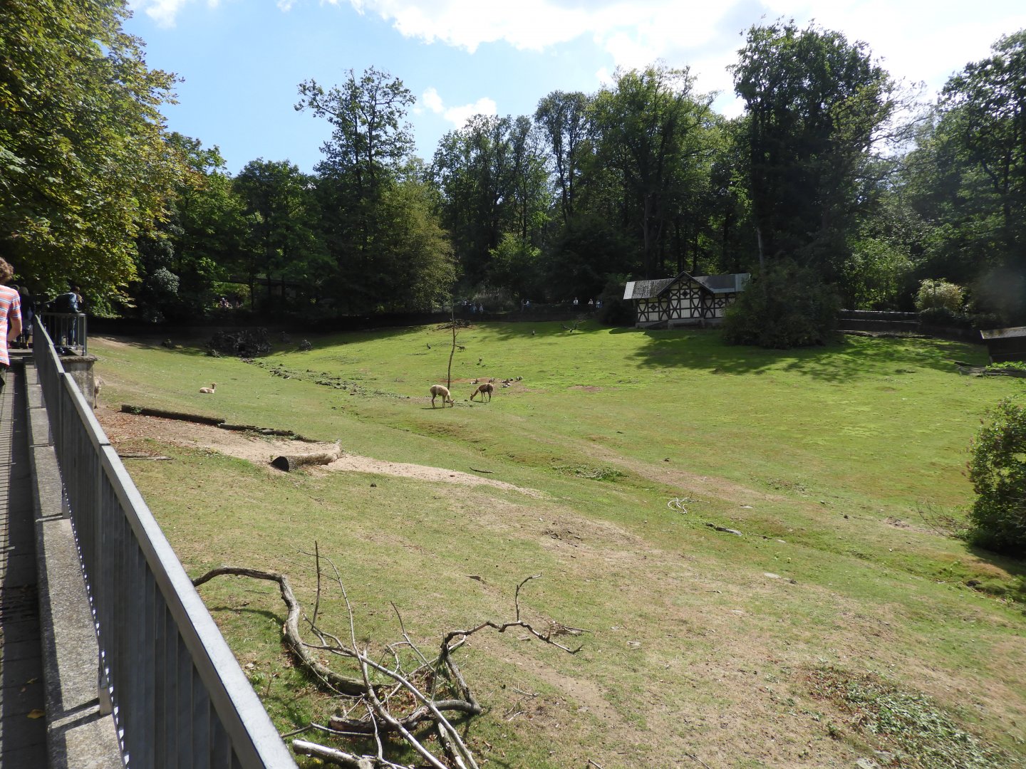 [2019] Enclosure for South American species