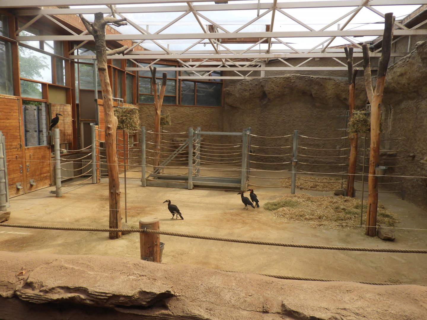 [2019] Giraffe indoor enclosure