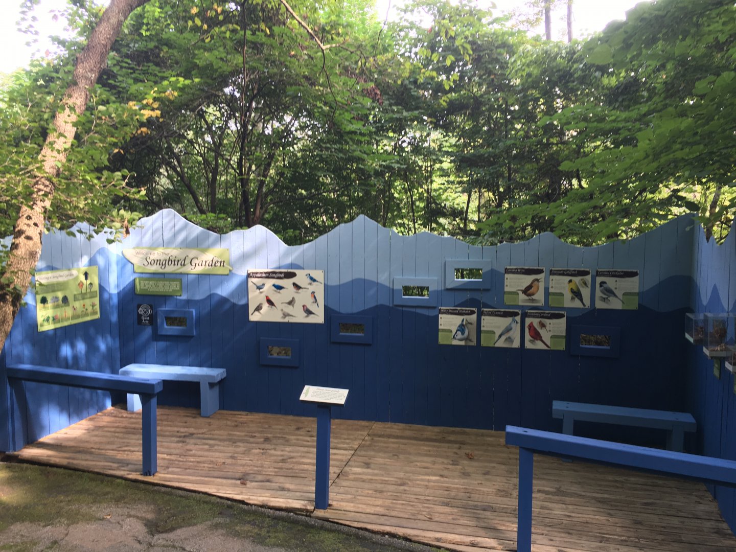 2019 Renovated Songbird Garden