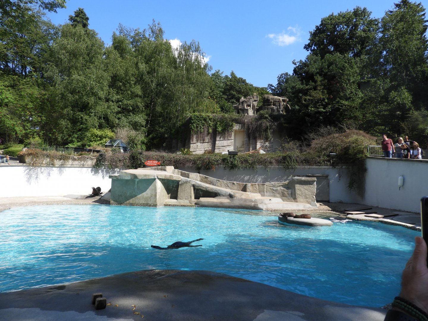 [2019] Sea lion enclosure