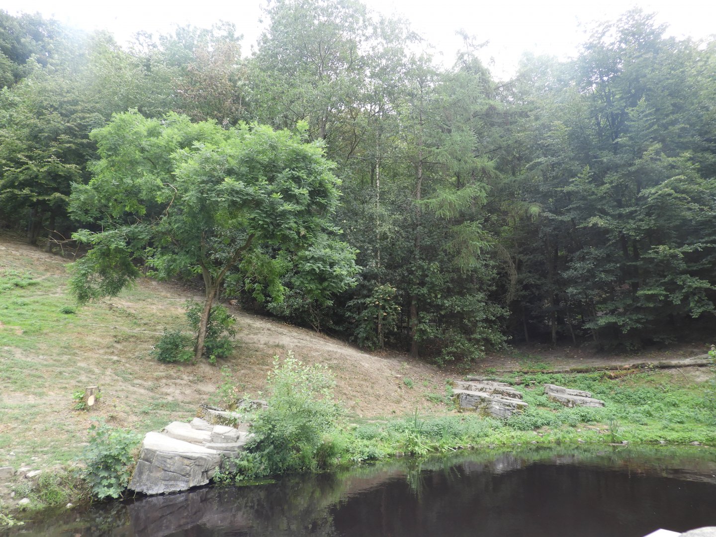 [2019] Tiger enclosure