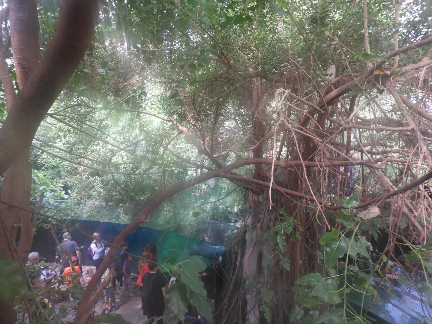 [2019] View inside Rio Negro