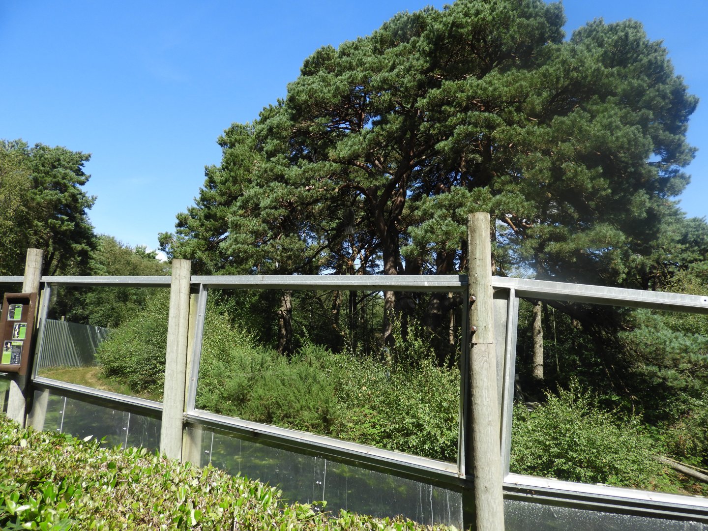 [2020] Gibbon enclosure