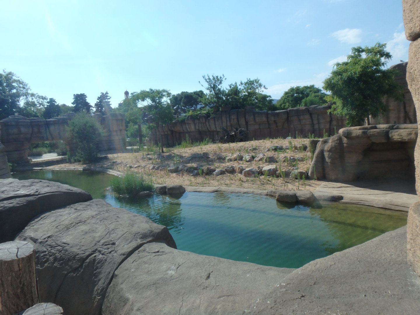 2020: New lion exhibit