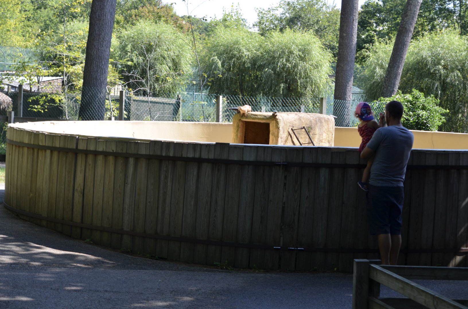 2021 - Prairie Dog Habitat Fencing