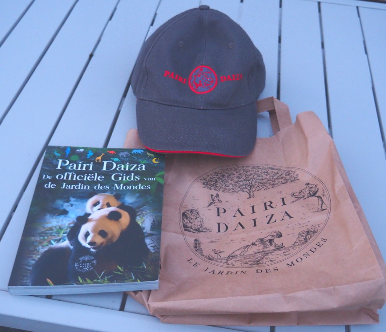 2021 souvenirs: Cap, official park guide (2020 version) and gift shop paper bag