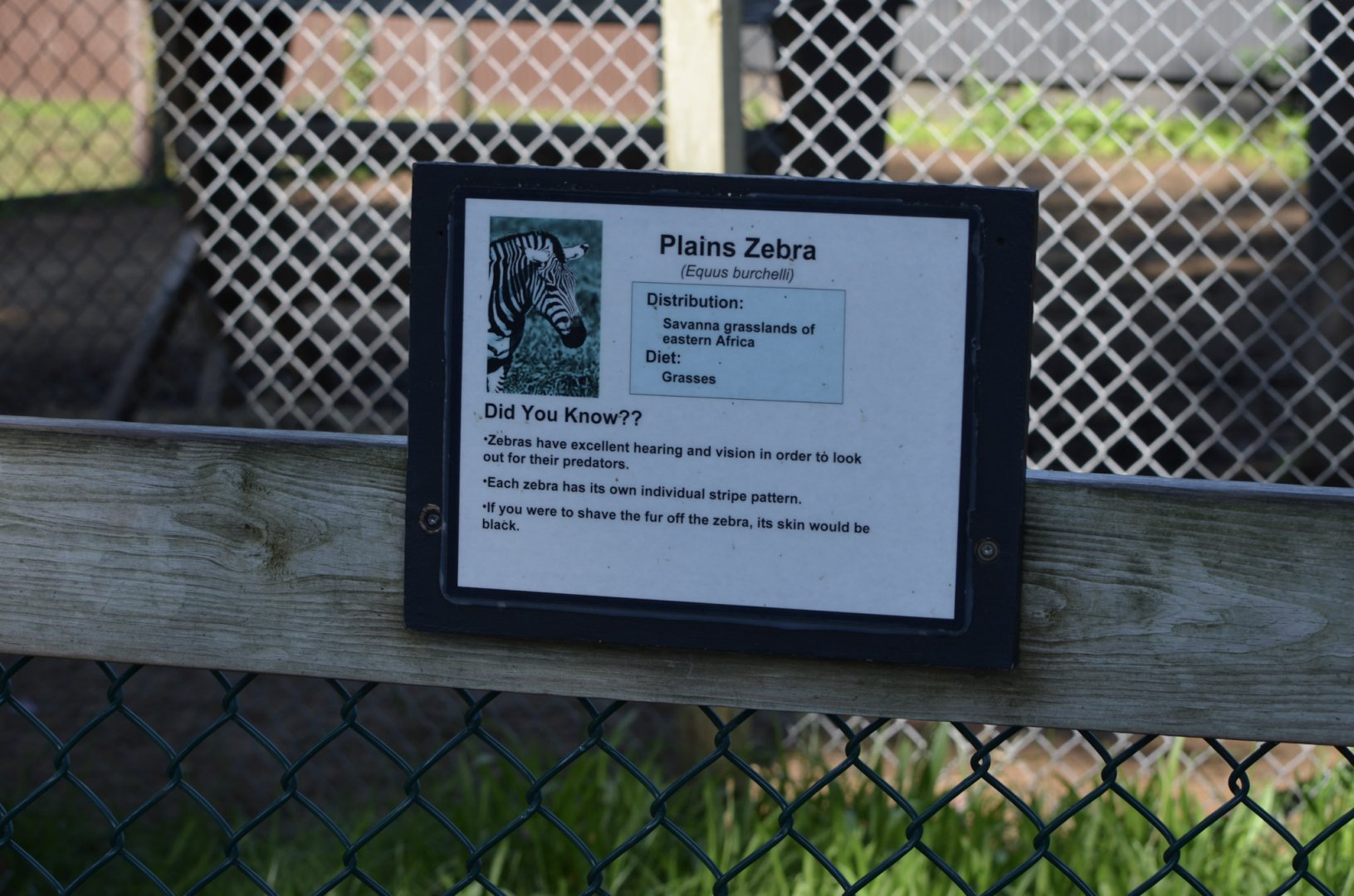 2021 - Typical Signage