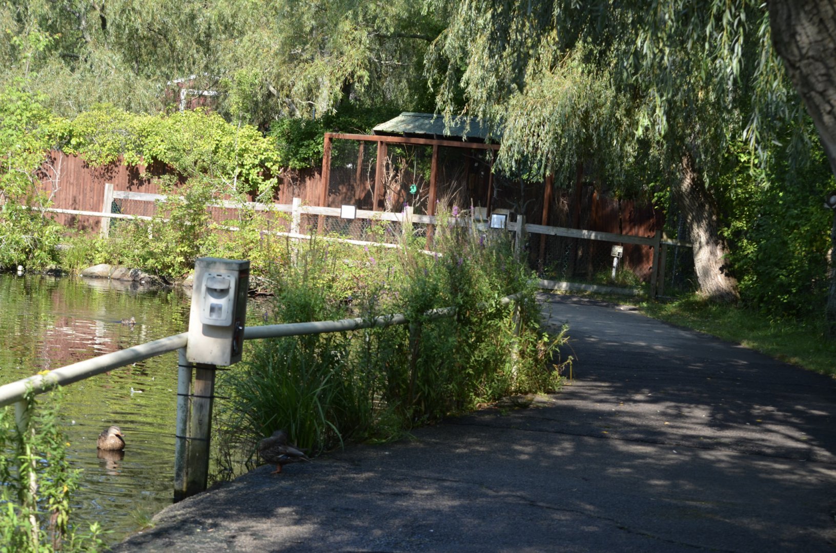 2021 - Waterfowl Pond and Aviaries