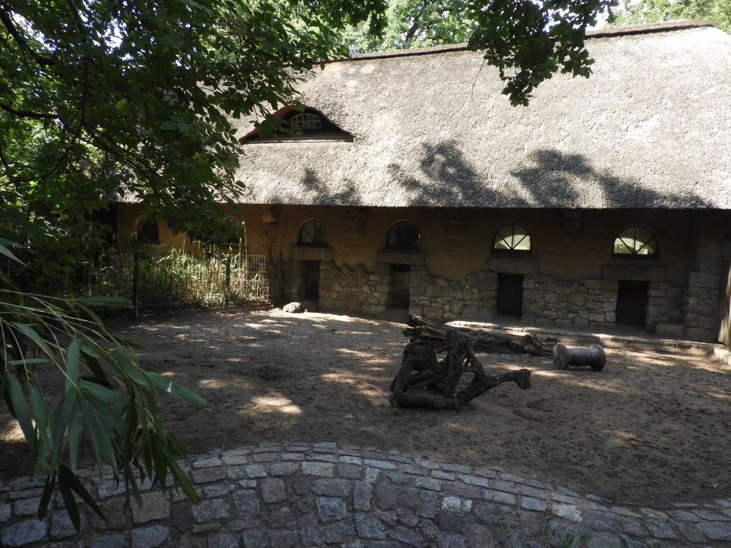 [2022] Babirusa and domestic pig enclosure