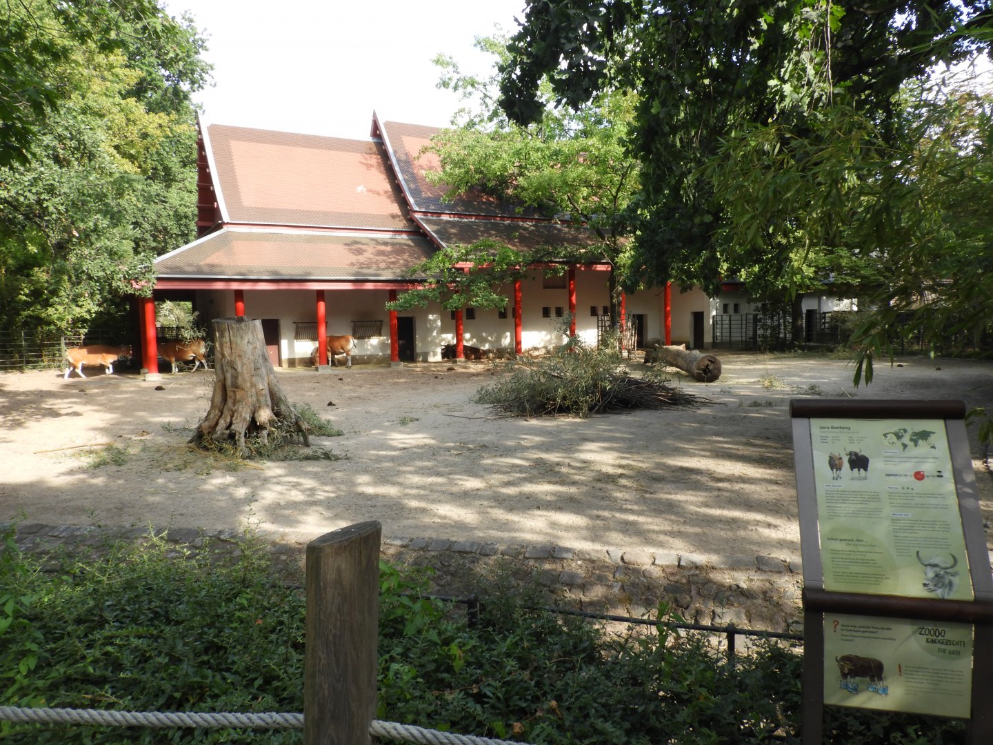 [2022] Banteng enclosure