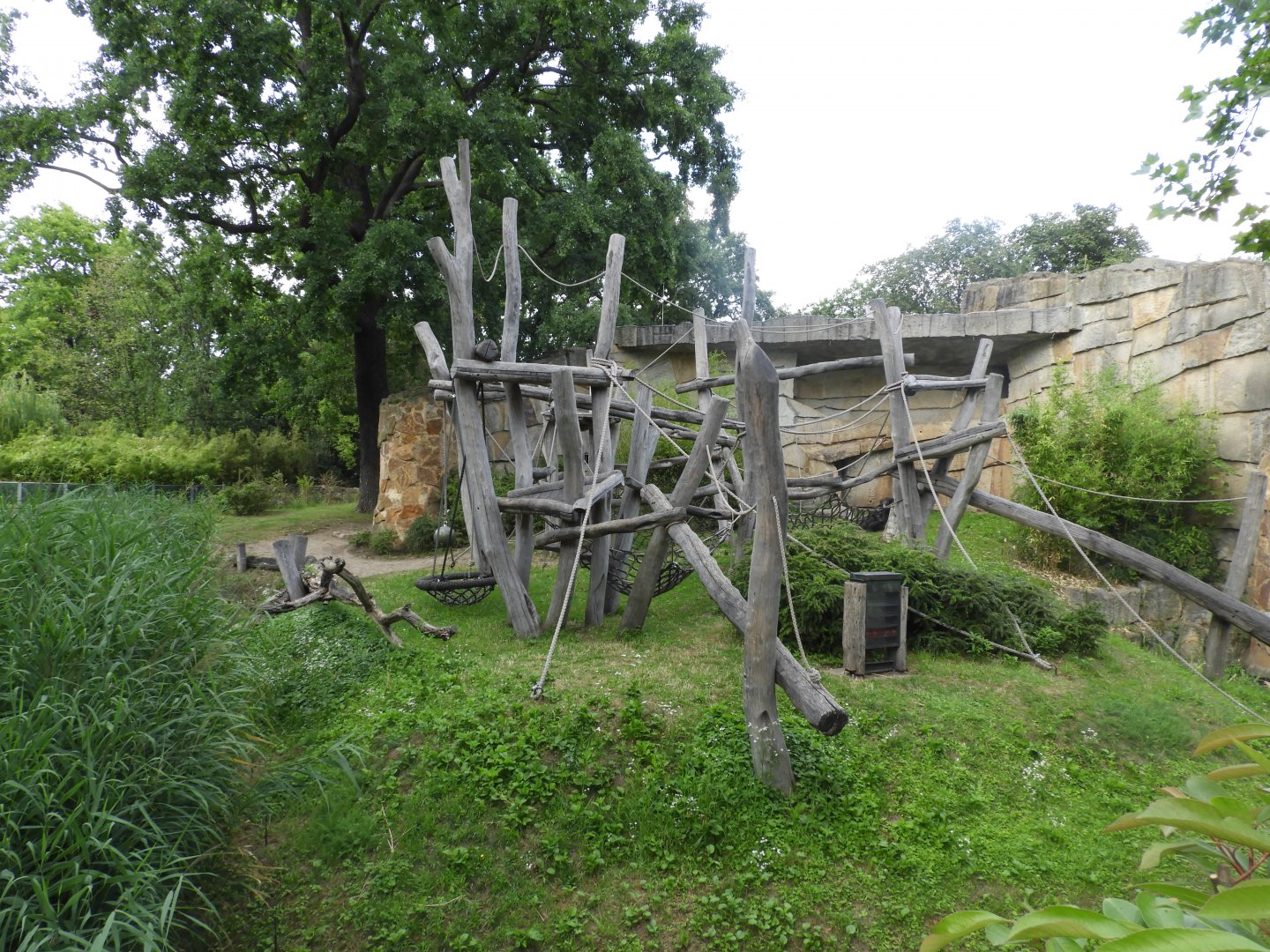 [2022] Gorilla enclosure