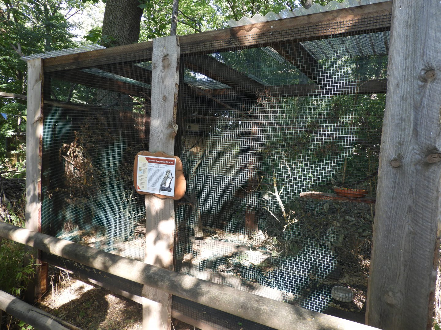 [2022] Himalayan striped squirrel enclosure