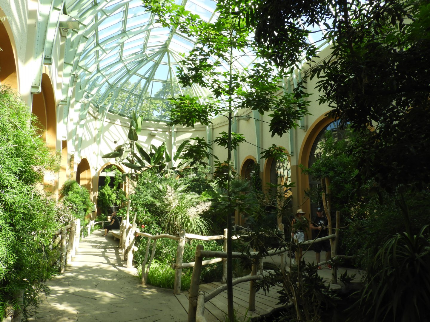 [2022] Inside antelope/giraffe house