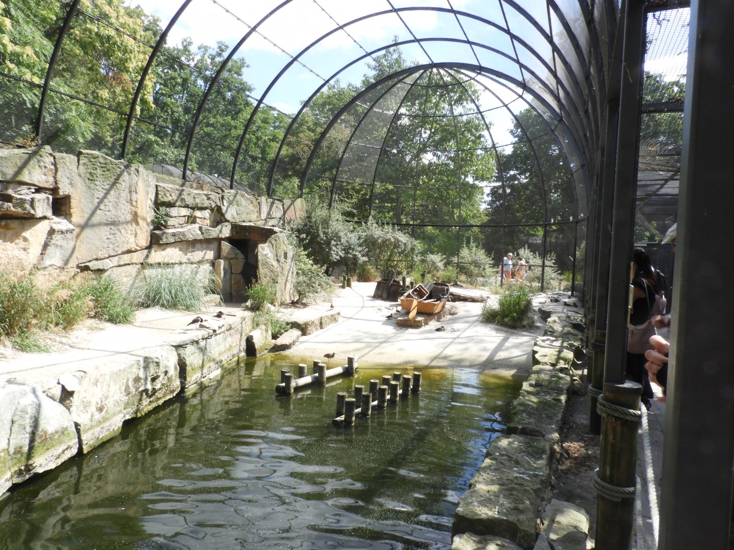 [2022] Inside shorebird aviary