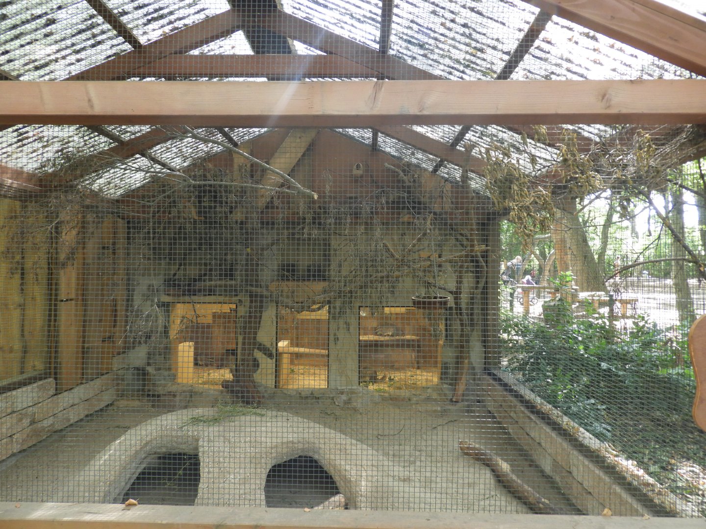 [2022] Plains viscacha and hooded siskin enclosure