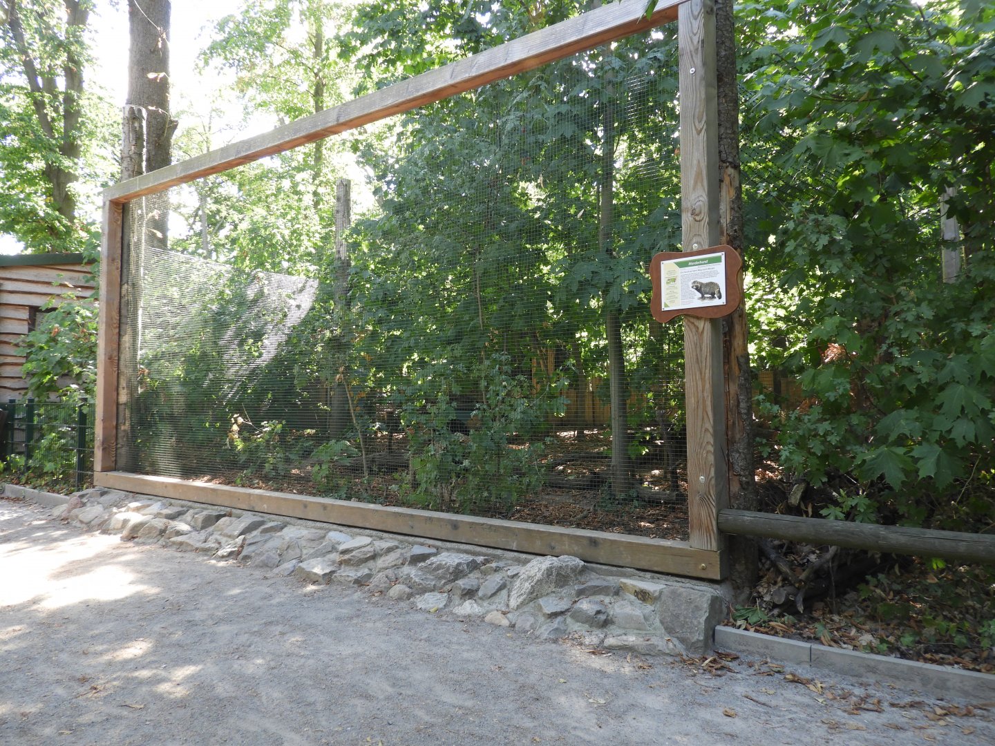 [2022] Raccoon dog enclosure