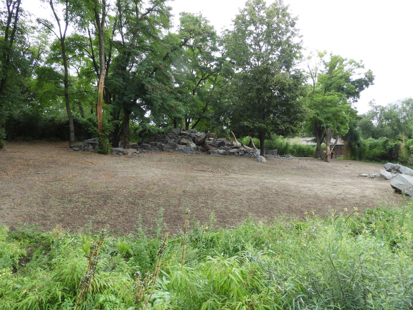 [2022] Sichuan takin enclosure