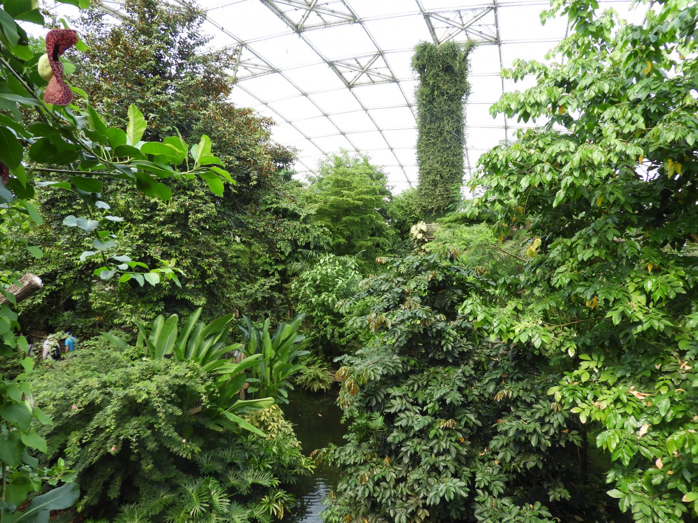 [2022] View in Gondwanaland