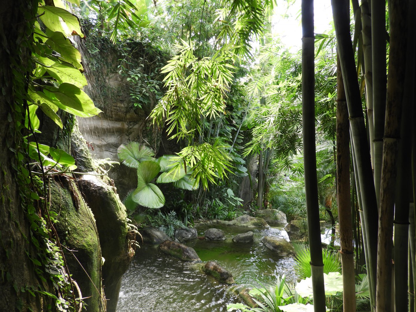 [2022] View in Gondwanaland