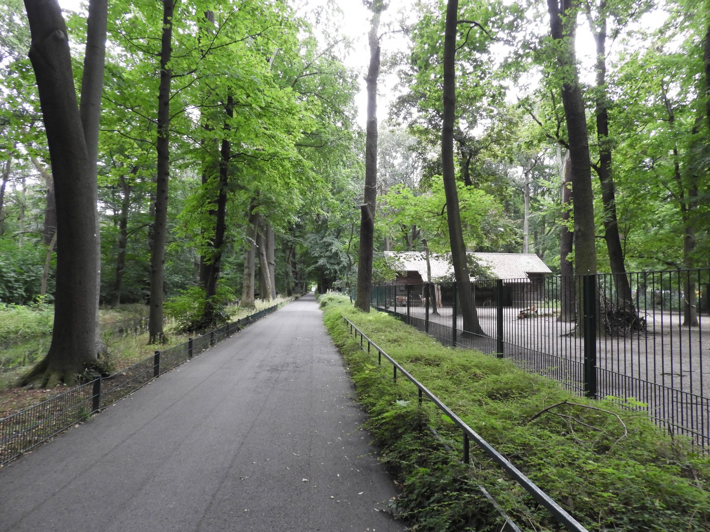 [2022] View of deer enclosure